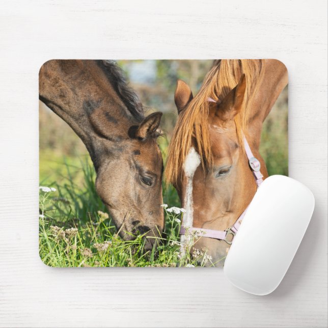 Tapis De Souris Animaux de bébés cutest | Colt à cheval (Avec souris)