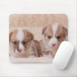 Tapis De Souris Animaux de bébés cutest   Deux Marionnettes Corgi