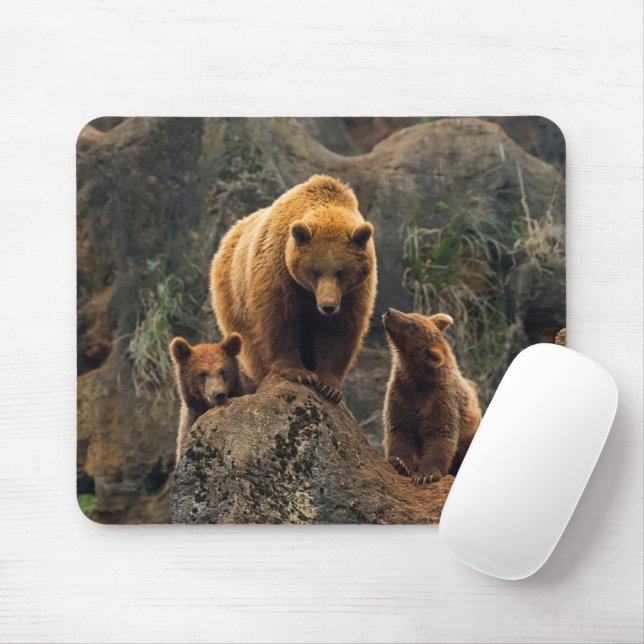 Tapis De Souris Animaux de bébés cutest | Famille d'ours Brown (Avec souris)
