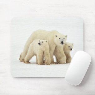 Tapis De Souris Animaux de bébés cutest   Famille d'ours polaires
