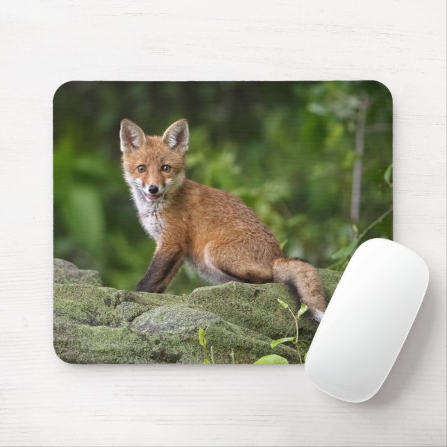 Tapis De Souris Animaux de bébés cutest | Foxy Smile (Avec souris)