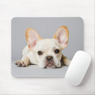 Tapis De Souris Animaux de bébés cutest   French Bulldog Lying Dow