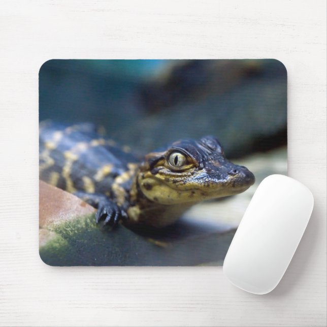Tapis De Souris Animaux de bébés cutest | Jeune alligator (Avec souris)