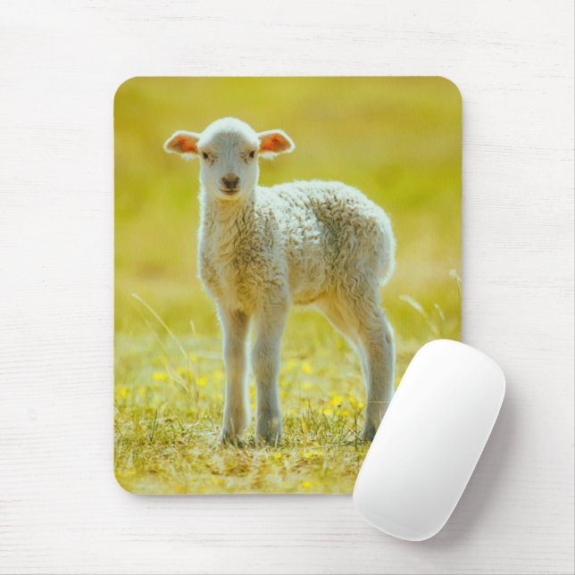 Tapis De Souris Animaux de bébés cutest | Jeune mouton (Avec souris)