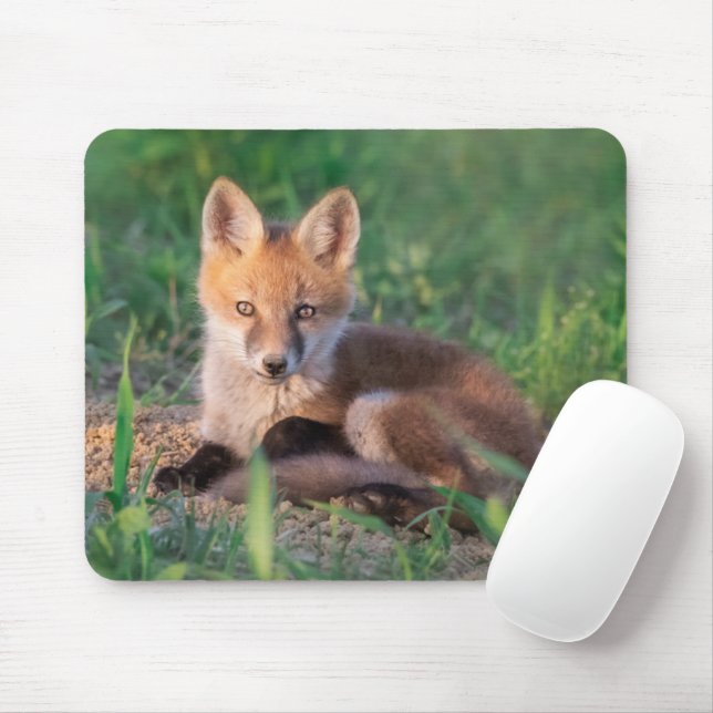 Tapis De Souris Animaux de bébés cutest | Kit Red Fox Relaxant (Avec souris)
