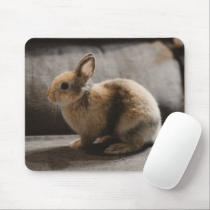 Tapis De Souris Animaux de bébés cutest Lapin nain de Pays-Bas