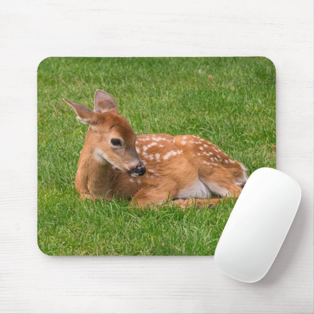 Tapis De Souris Animaux de bébés cutest | Little Fawn (Avec souris)