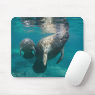 Tapis De Souris Animaux de bébés cutest   Manat & bébé