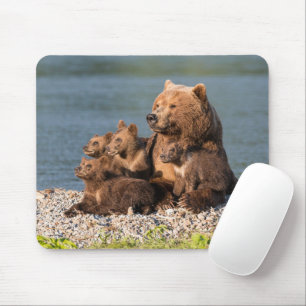 Tapis De Souris Animaux de bébés cutest Mère Ours & Cubs