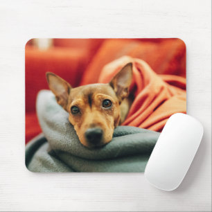 Tapis De Souris Animaux de bébés cutest   Miniature Pinscher