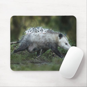 Tapis De Souris Animaux de bébés cutest   Opossum Maman & Kids