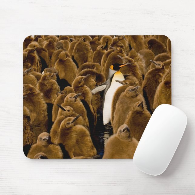 Tapis De Souris Animaux de bébés cutest | Pingouin parmi les jeune (Avec souris)