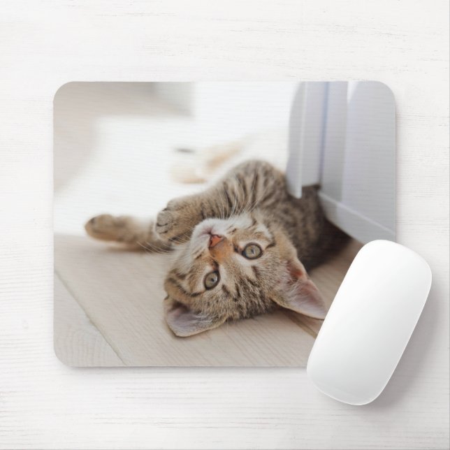 Tapis De Souris Animaux de bébés cutest | Shorthair Tabby Kitten (Avec souris)