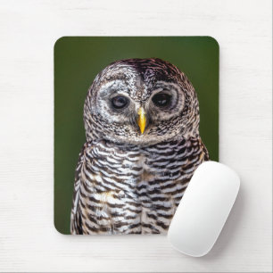 Tapis De Souris Animaux de bébés cutest Tawny Owl