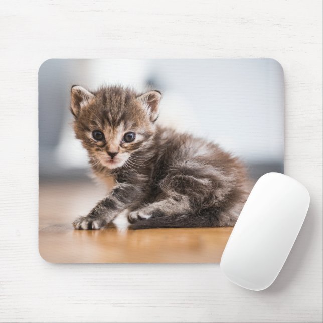 Tapis De Souris Animaux de bébés cutest | Tiny Tabby Kitten (Avec souris)