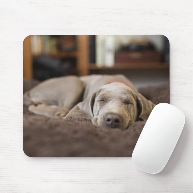 Tapis De Souris Animaux de bébés cutest | Weimaraner Puppy Sleepin (Avec souris)