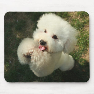 Tapis De Souris Animaux domestiques, chien, caniche