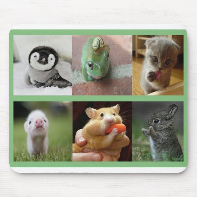 Tapis De Souris Animaux Protection-Adorables de souris (Devant)