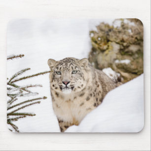 Tapis De Souris Animaux sauvages du léopard des neiges personnali