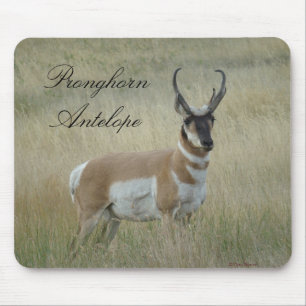 Tapis De Souris Antilope d'Amérique mâle A8
