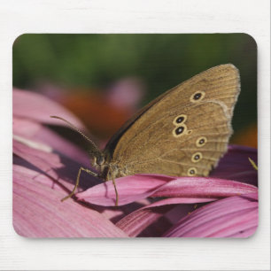 Tapis De Souris Aphantopus hyperantus