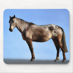 Tapis De Souris Appaloosa