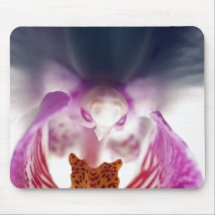 Tapis De Souris Apparition d'orchidées Mousepad