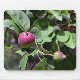 Tapis De Souris Apple sur