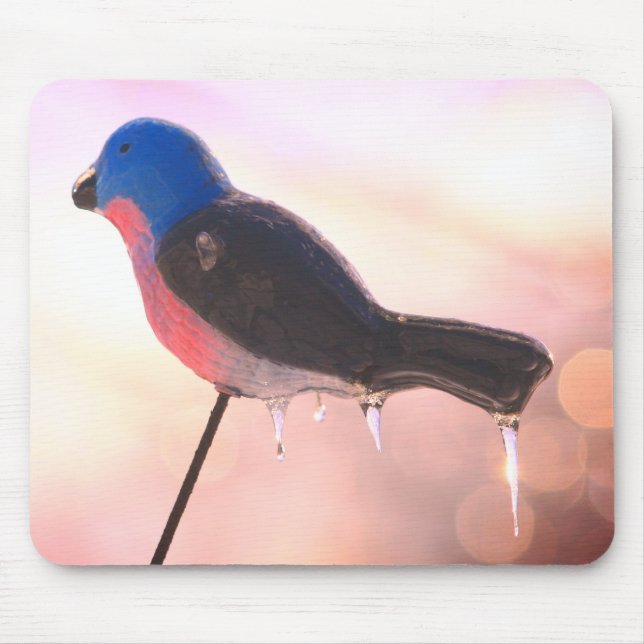 Tapis De Souris Après la tempête d'hiver Nature (Devant)