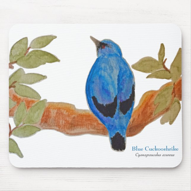 Tapis De Souris Aquarelle bleu Cuckooshrike (Devant)