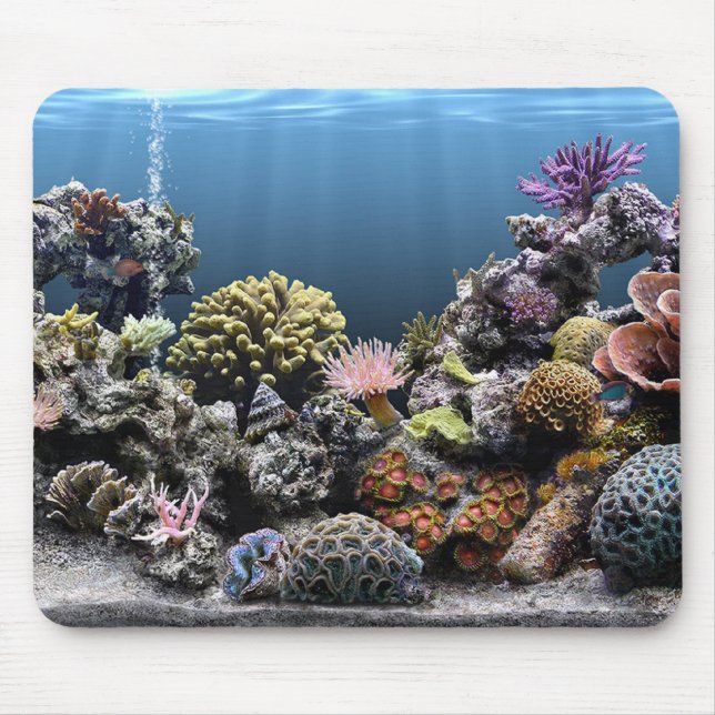 Tapis De Souris Aquarium (Devant)