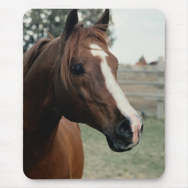 Tapis De Souris Arabian au Pasture (Devant)