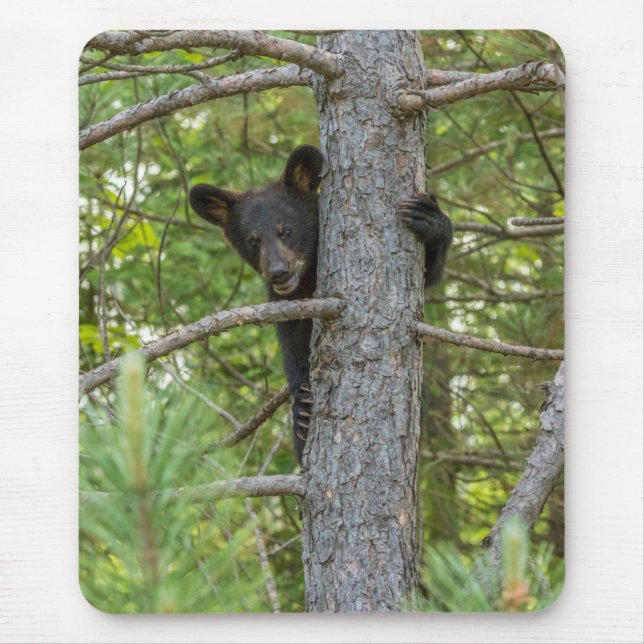 Tapis De Souris Arborescence d'Escalades d'ours Cub (Devant)