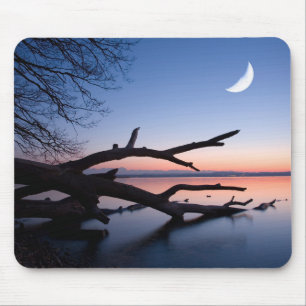 Tapis De Souris Arbre au lac de Starnberg   Muensing Bavière Allem