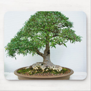 Tapis De Souris Arbre Bonsaï Japonais dans un Pot Ovale peu Profon