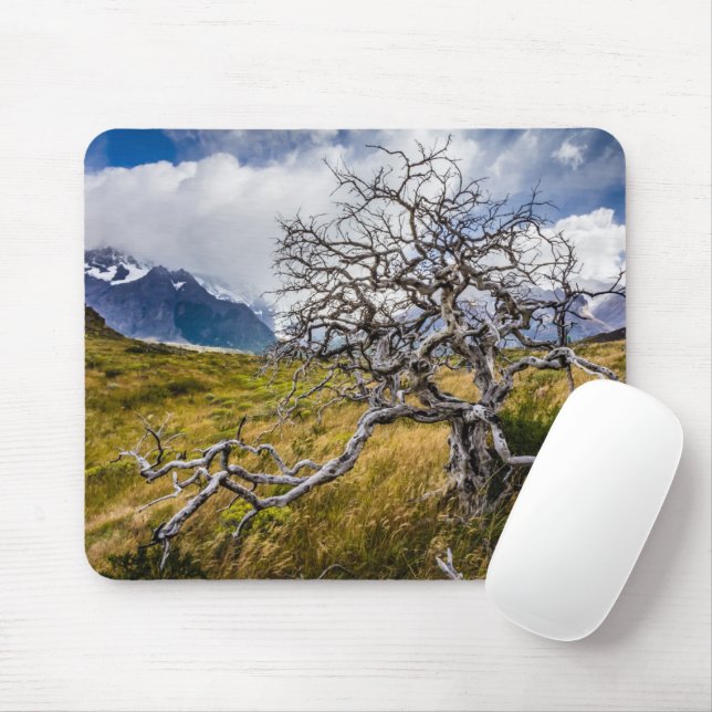 Tapis De Souris Arbre brûlé, Torres del Paine, Chili (Avec souris)