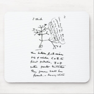 Tapis De Souris Arbre de Darwin