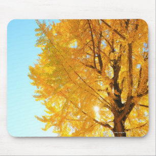 Tapis De Souris Arbre de Gingko, préfecture de Nagano, Japon