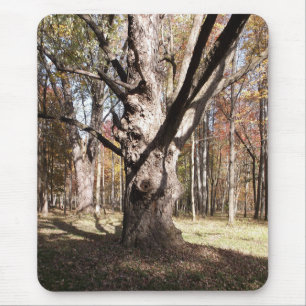 Tapis De Souris Arbre étrange