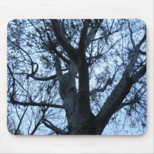 Tapis De Souris Arbre Silhouette photo de la souris