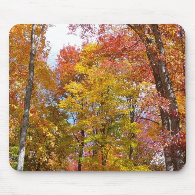 Tapis De Souris Arbres automnes oranges et jaunes Photographie d'a (Devant)
