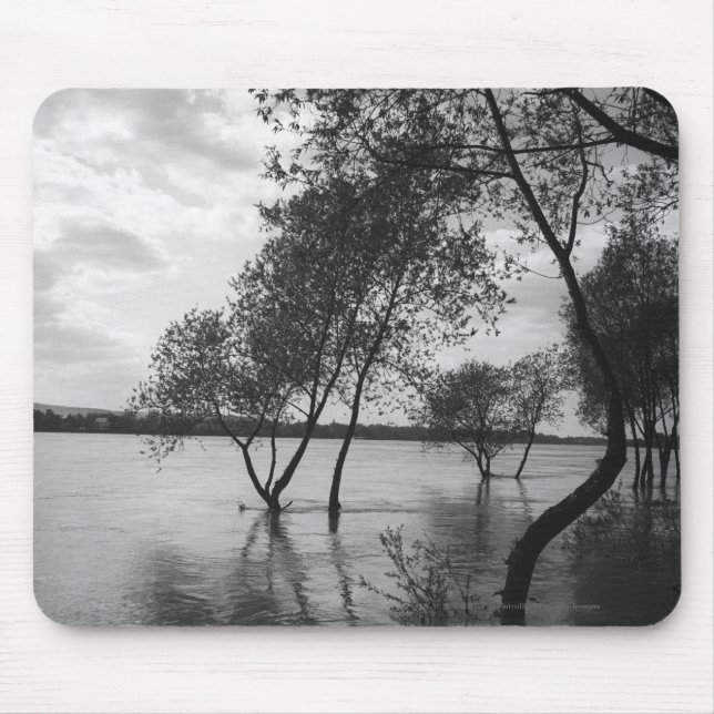 Tapis De Souris Arbres dans le lac (Devant)