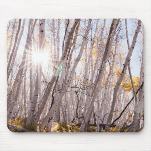 Tapis De Souris Arbres d'Aspen