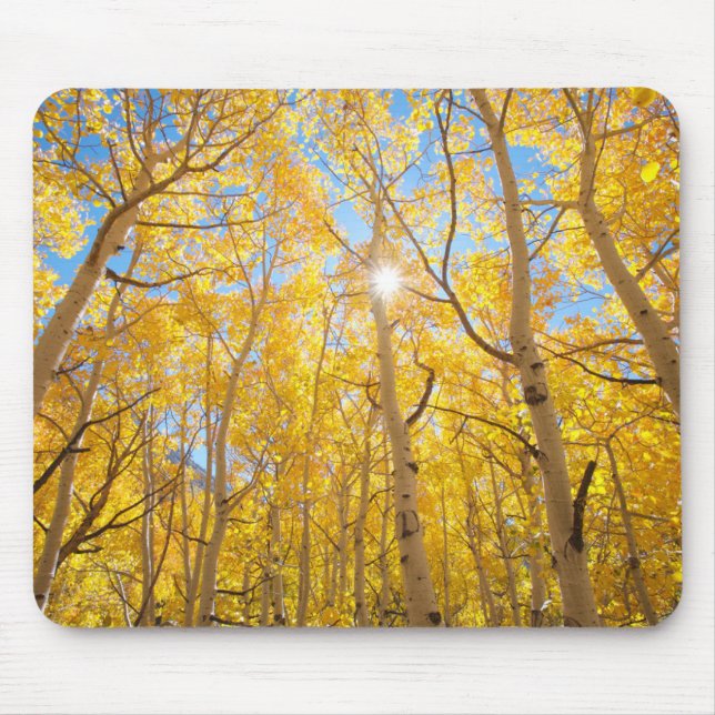 Tapis De Souris Arbres d'Aspen | Sierra Nevada Mountains, CA (Devant)