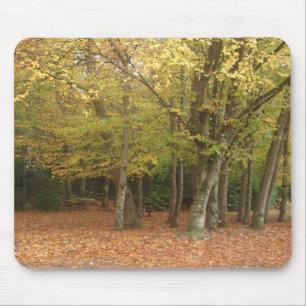 Tapis De Souris Arbres d'automne