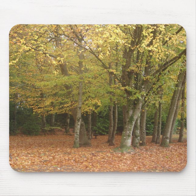 Tapis De Souris Arbres d'automne (Devant)