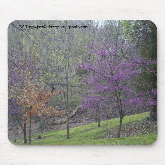 Tapis De Souris Arbres Mousepad de C.C (Devant)
