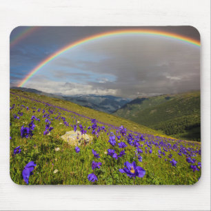 Tapis De Souris Arc-en-ciel au-dessus d'un pré fleurissant