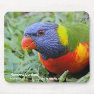 Tapis De Souris Arc-en-ciel Lorikeet