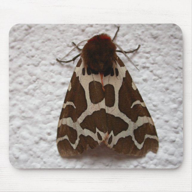 Tapis De Souris Arctia caja (Devant)